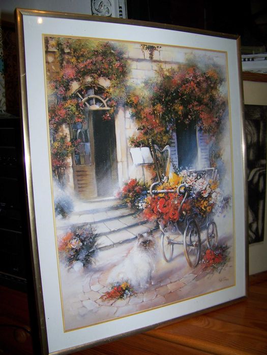 obrazek z kotem w ramce za szkłem 40/50 cm