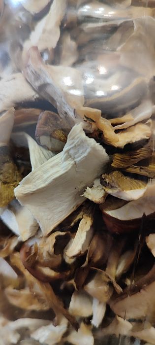 Сушені гриби у скляній банці. Натуральний продукт, зібраний вручну. Ід