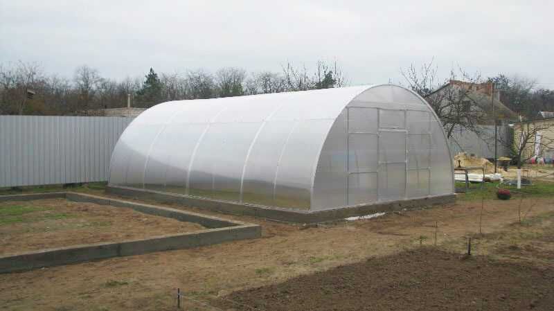 Duzy tunel gospodarczy ALMIR 5*8 z poliwęglanem 8 mm SOLIDNY