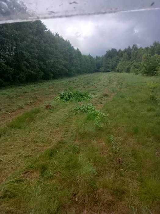 Działka rolna 1,19 ha – łąka + las  gmina Masłowice