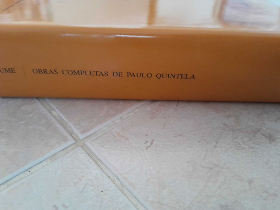 Holderlin e outros estudos de Paulo Quintela