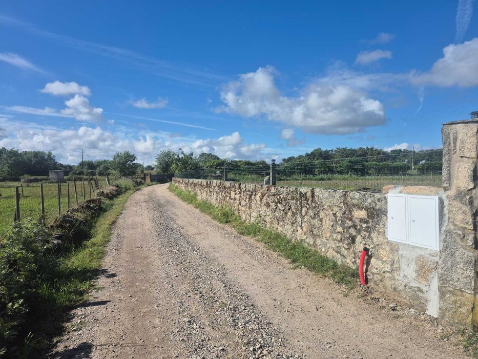 Terreno rustico para venda — Lardosa, Castelo Branco