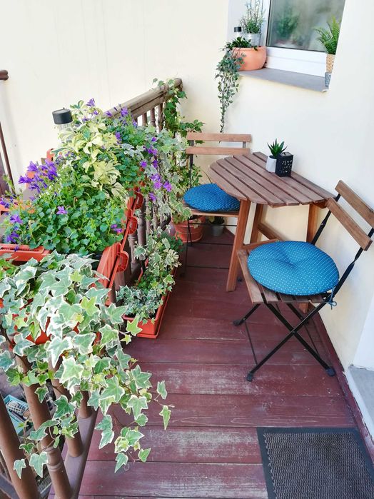 Słoneczne mieszkanie z klimatem, centrum ul.Długa bezpośrednio!