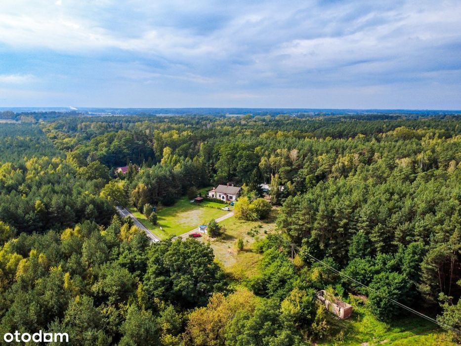 Działka 1896 m² przy lesie we Florentynowie - Widok 3