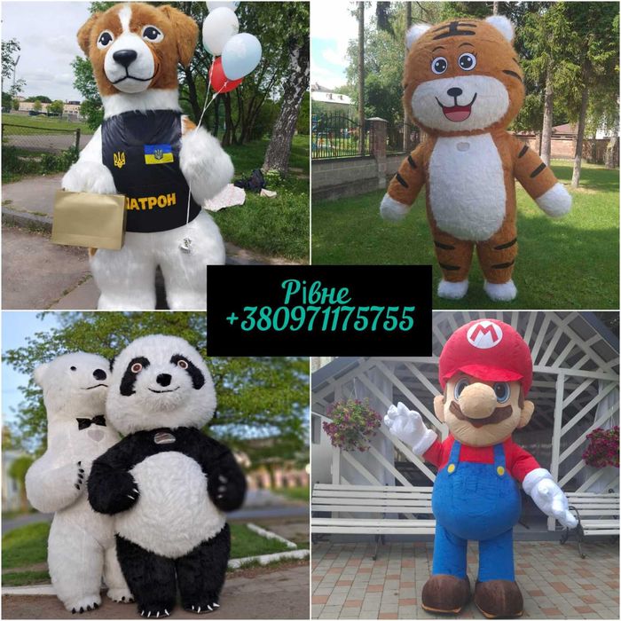 Білий ведмідь Панда Пес Патрон Зая Рівне привітання на ваше свято