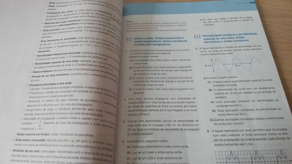 Caderno de exercícios Física 11°ano