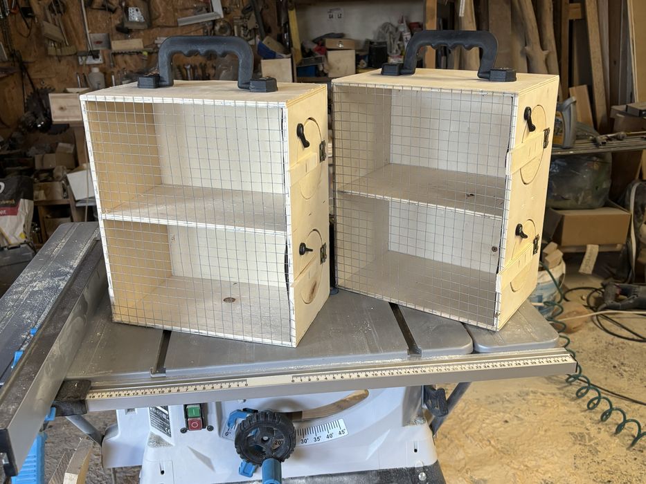 Transportery dla papug