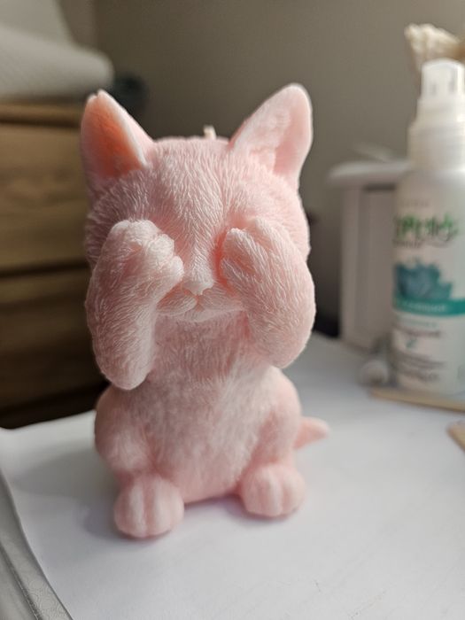 Kot świeca sojowa + serce mydło na walentynki