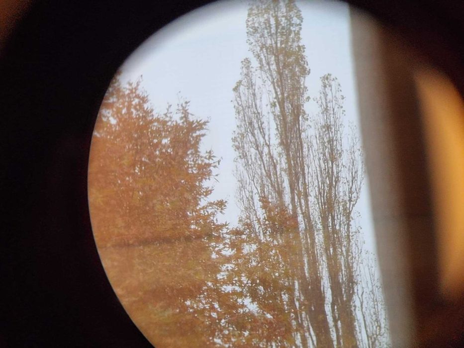 Lornetka CARL ZEISS Jena 10x50 multi-coated KULTOWA; rzadki model!