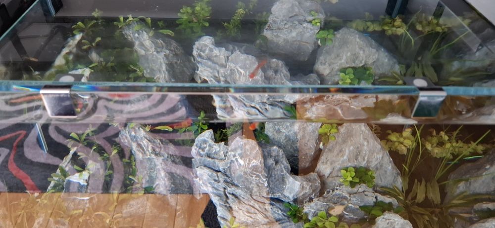 Szyba nakrywkowa do akwarium 40cmx40cm + 4szt. uchwyty 6mm.
