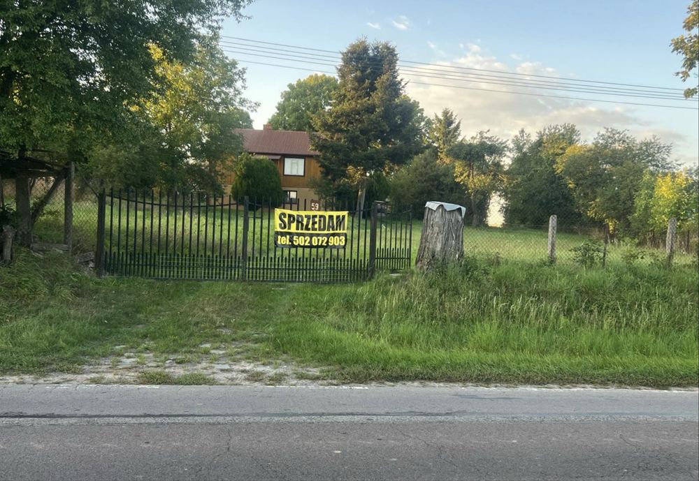 Zdjęcie 2