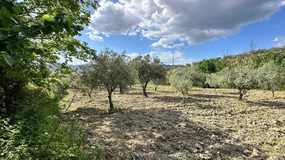 Terreno Rústico 4.392 m² – Eiras do Lagar, Vilarelhos (Alfândega da Fé)