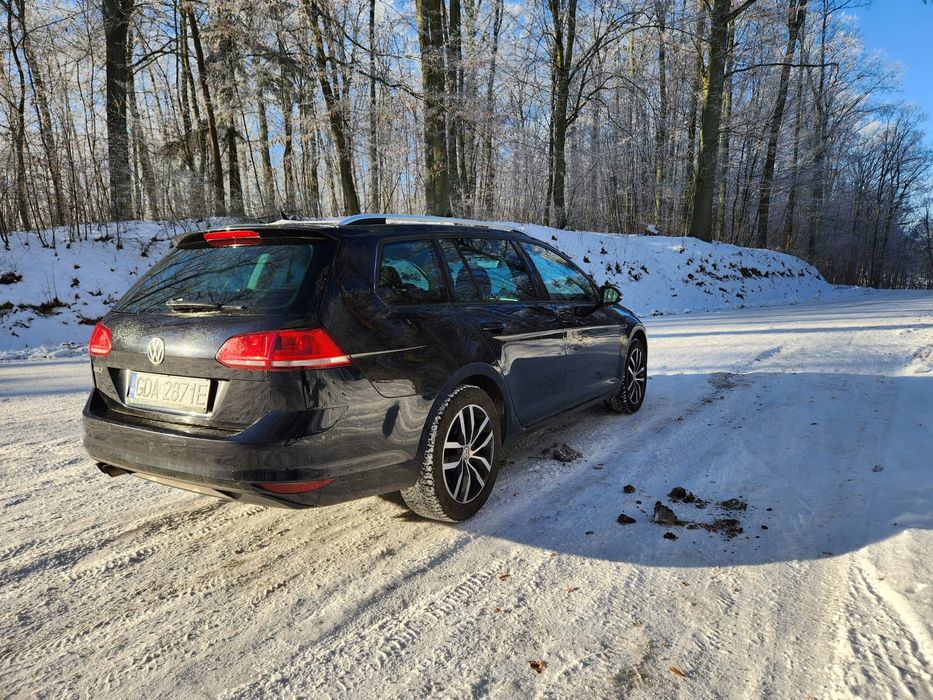Vw golf 7 na sprzedaż 2016 rok