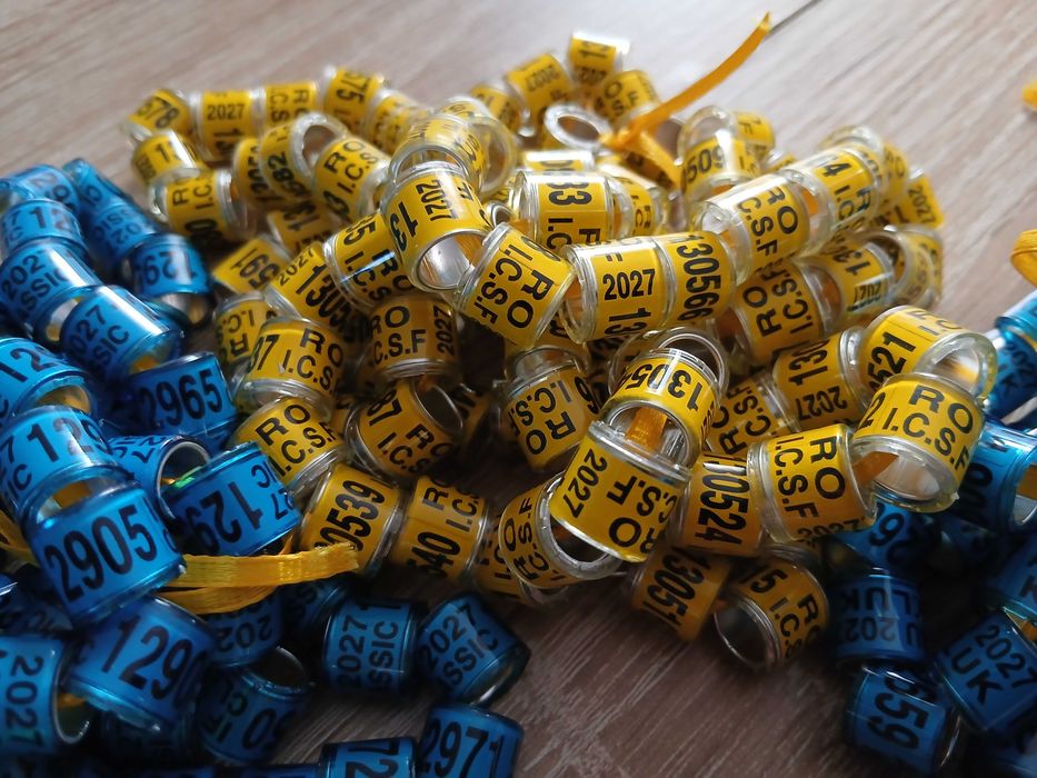Obraczki dla golebi 2027 RO