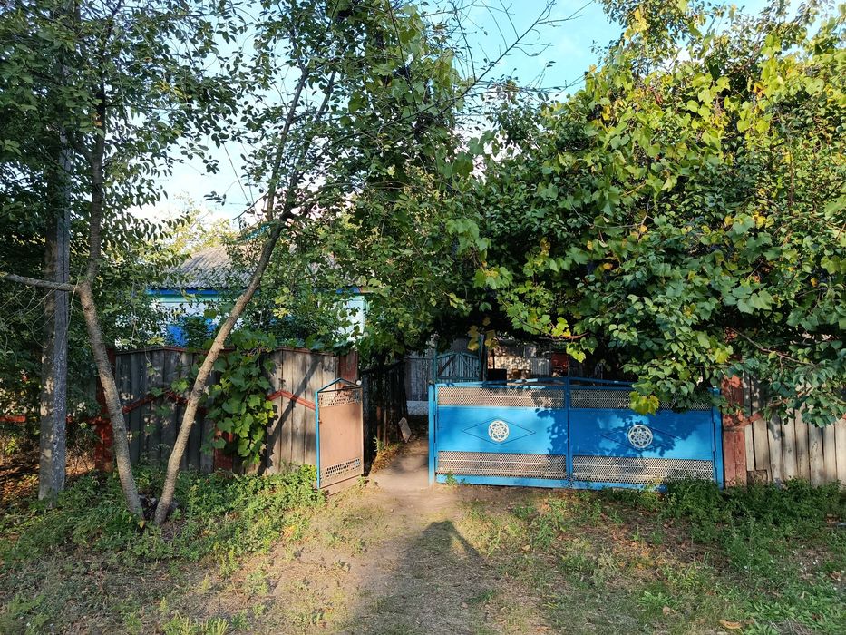 Продам будинок в селі Салівка
