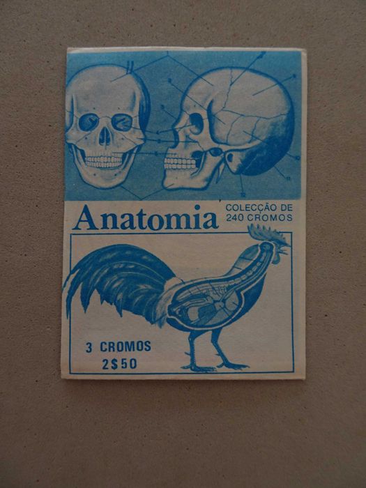 Carteira de cromos fechada Anatomia - Francisco Más