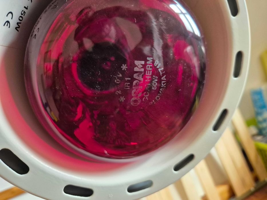 Candeeiro articulado e lupa - Material de estética