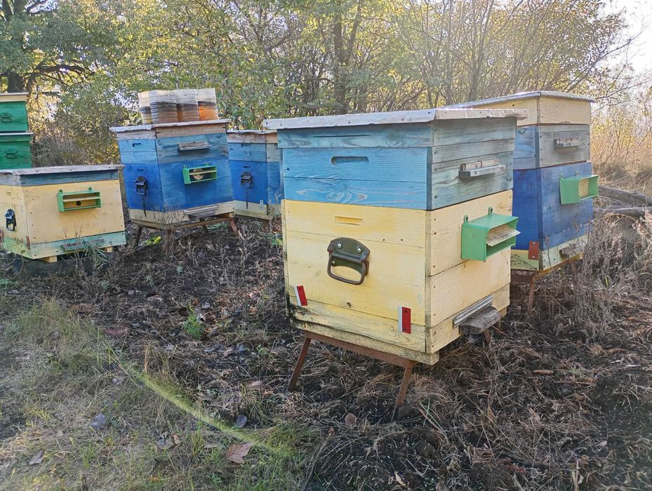 Продам Вулики корпусні