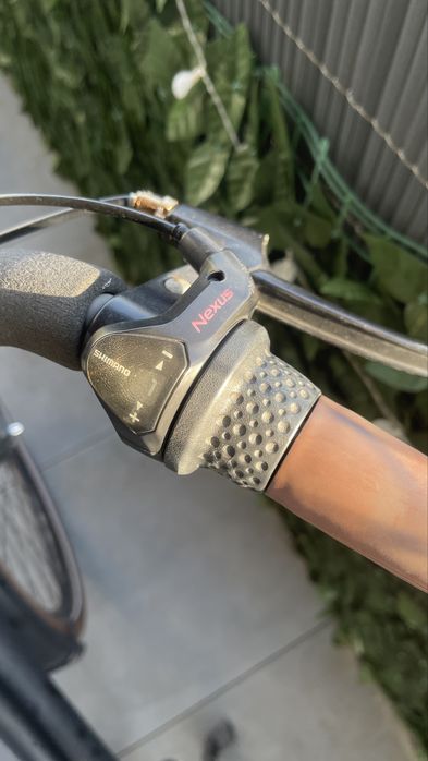 Rower holenderski Avalon Cargo