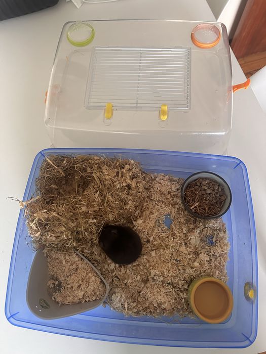 Gaiola de hamster completa