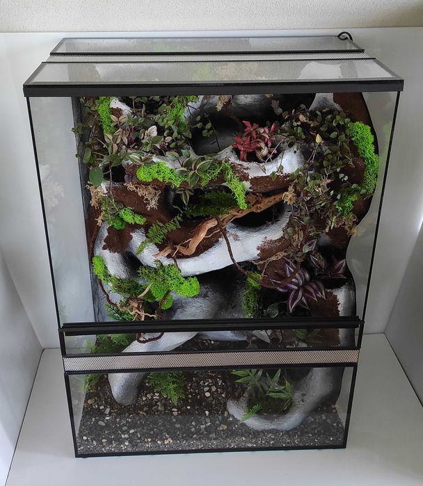 Paludarium z wbudowanym ciekiem wodnym dla jaszczurki, AquaWaves