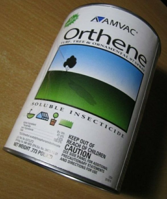 Phantom Insecticide Termiticide ,  Orthene