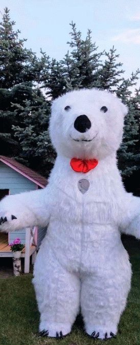 Biały Miś na Twoją Imprezę !