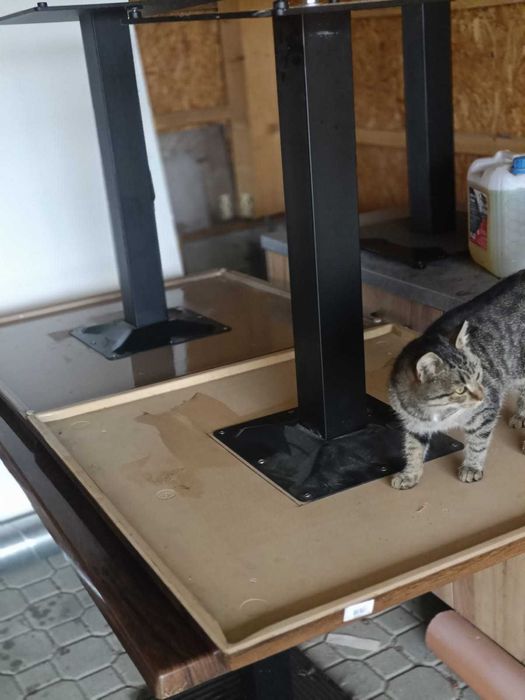 stół do kawiarni lub baru