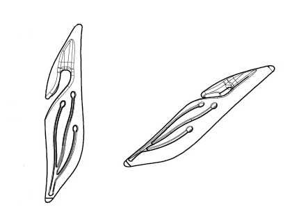 ROLETY NA WYMIAR DZIEŃ NOC mahoń orzech złoty dąb sosna winchester