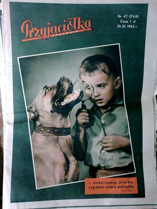 Tygodnik Przyjaciółka 9 szt