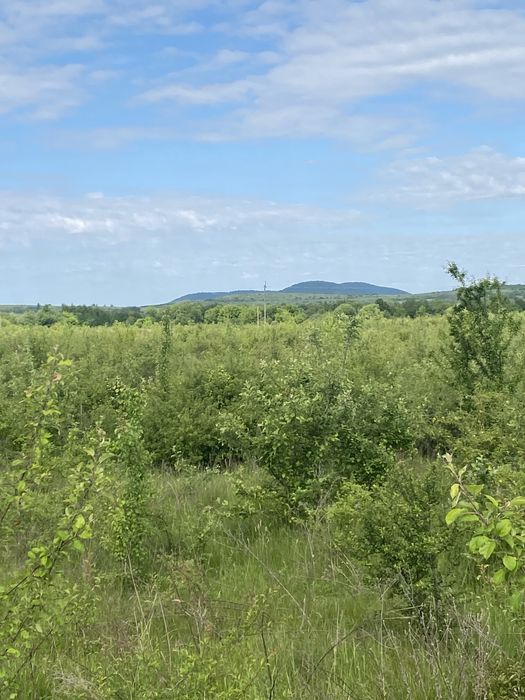 Земельна ділянка для промисловості 8 га