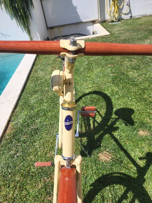 Bicicleta única nova