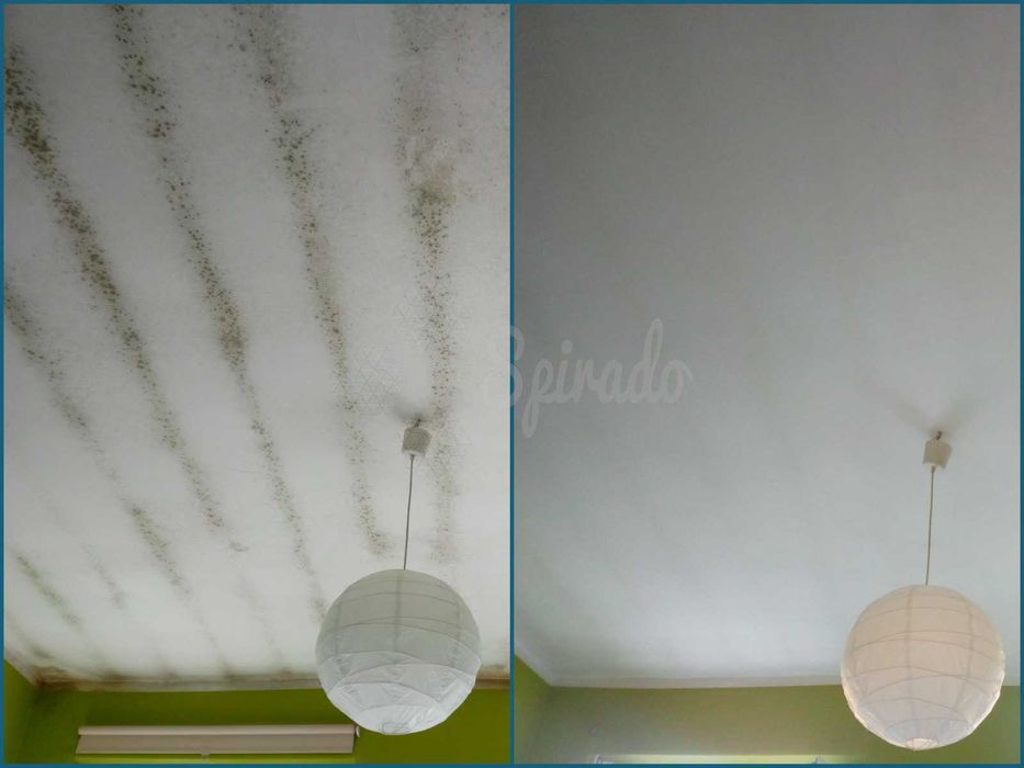 Usuwanie pleśni i grzyba - Odgrzybianie ścian - Pomiary wilgotności