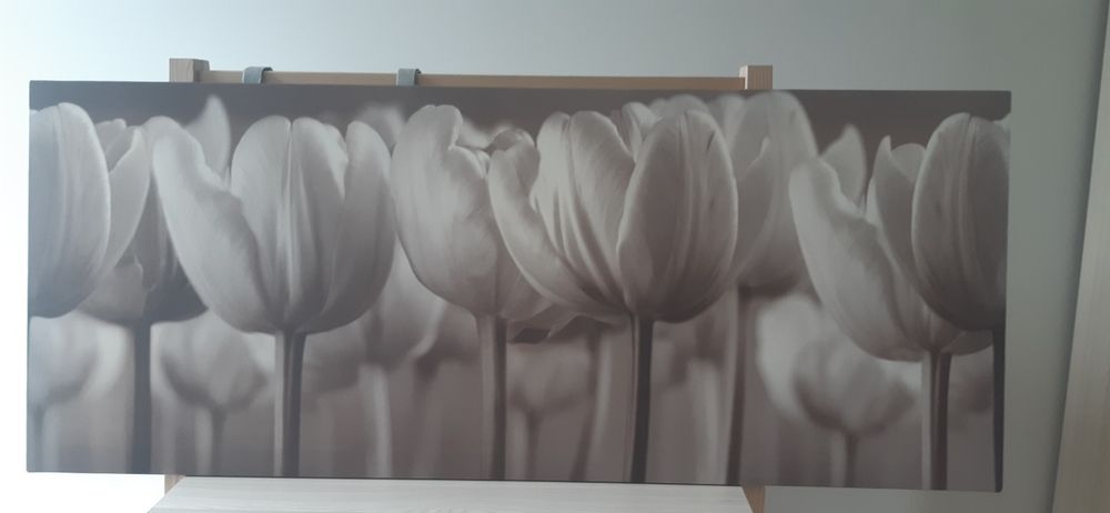Obraz tulipany Ikea sepia