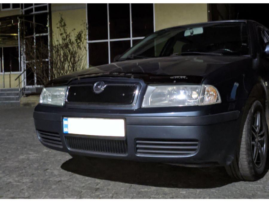 Skoda Octavia Tour Зимова решітка радіатора матова (верхня)Шкода