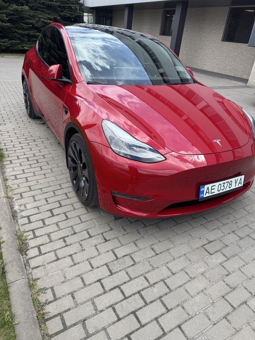 TESLA Y Performance