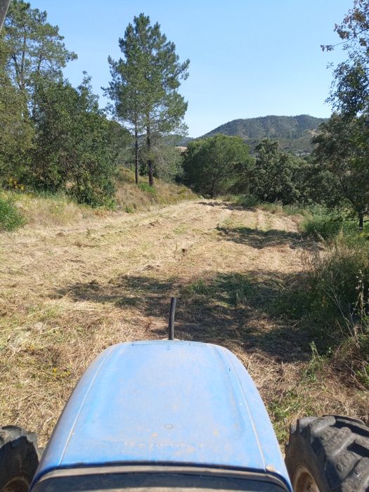 Limpeza de terrenos