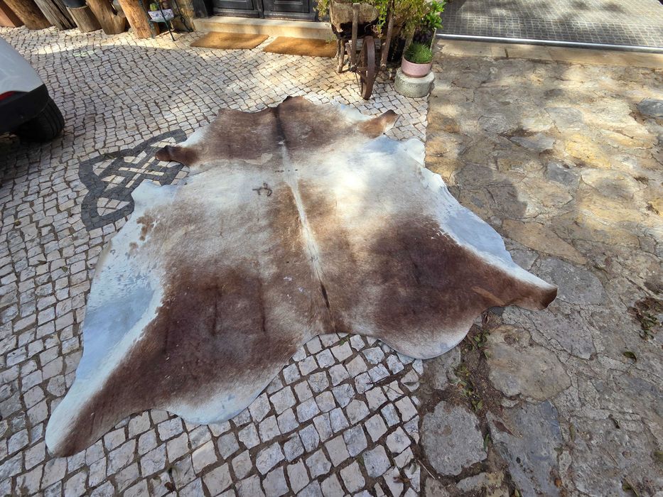 Tapete de Pele (bom estado)