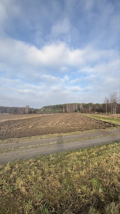 Bratoszewice – działka 11 051 m² | MPZP | las | PKP | blisko A1/A2