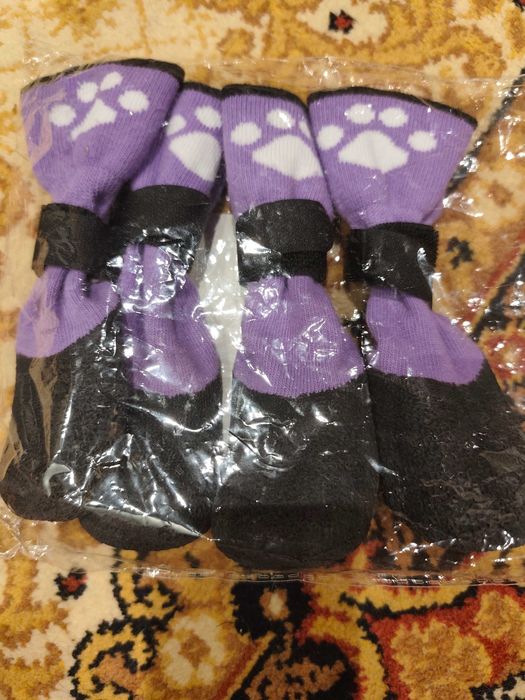 Взуття для собаки