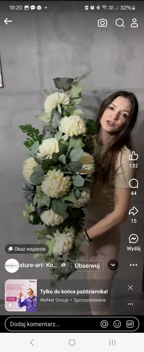 Sadzonka chryzantema wszystkich świętych 2szt