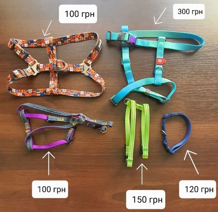 Амуніція для собак