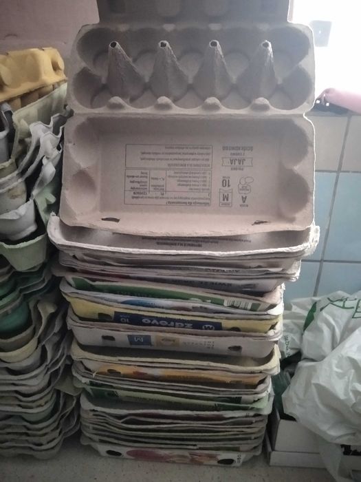 Wytlaczanki po jajkach