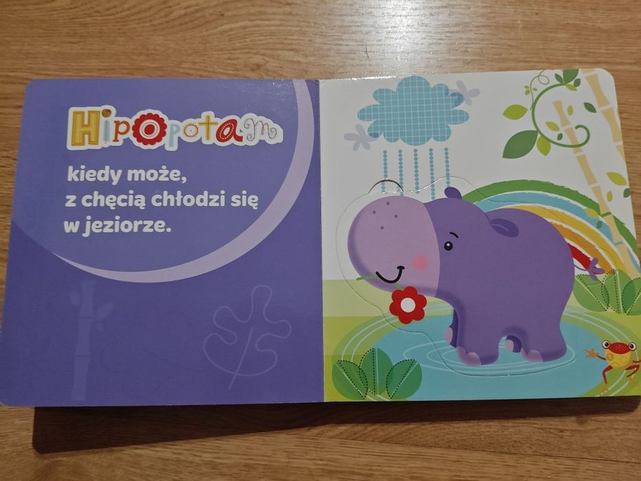 Zestaw dwóch książek dla dzieci