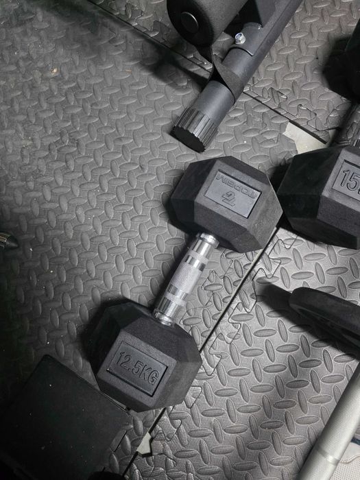 Halters e banco de ginásio (como novos)