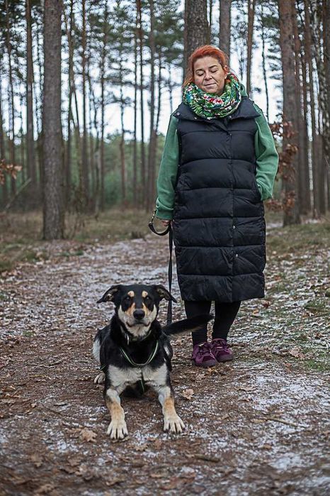 Pluto - duży, zwariowany, energiczny psiak szuka fajnego człowieka