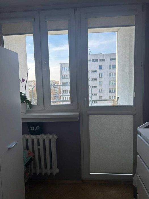 Mieszkanie na wynajem (Dąbrowskiego)