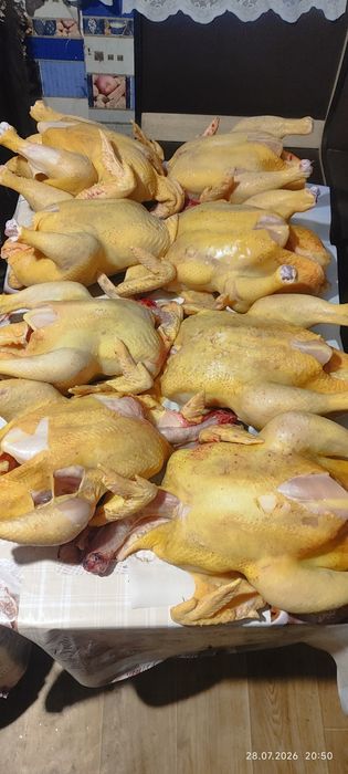 Продам бройлерів вагою до 4кг