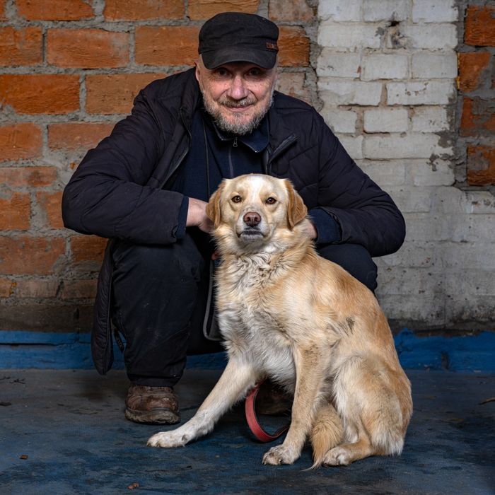 Елегантний песик-хлопчик, 1,5 роки