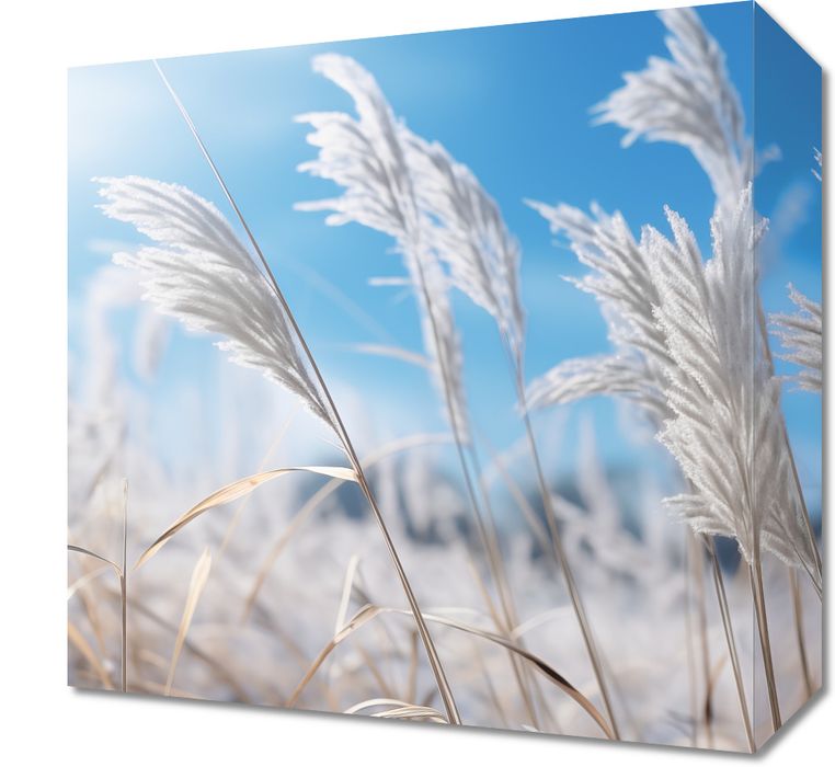 Obraz 30x30cm Szum Między Trawą